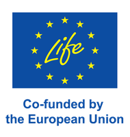 Logo EU co-funding