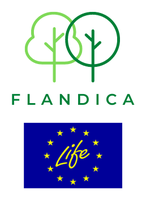 Logo Flandica
