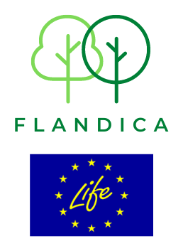 Flandica logo