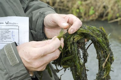 Picture water quality testing