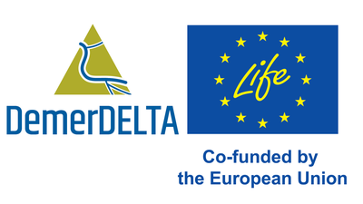 LIFE Delta: logo Demerdelta + LIFE