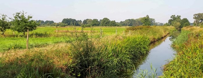 Wetlands4Cities_MechelsBroek_Vrouwvliet
